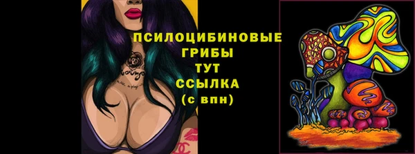 прущая мука Абаза