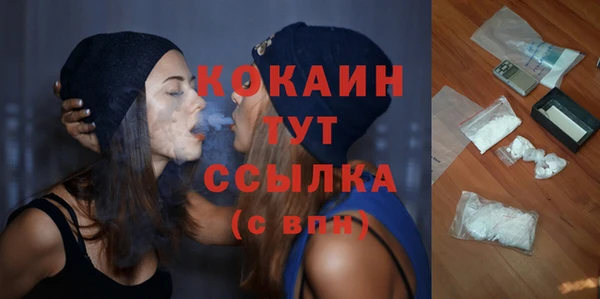 твердый Протвино