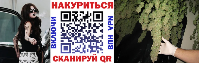 Канабис план  Бирюсинск 